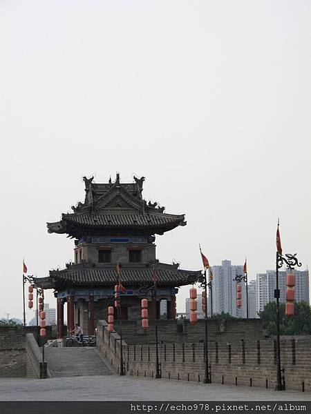 IMG_8251.JPG IMG_8251.JPG