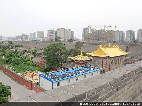 IMG_8266.JPG IMG_8266.JPG