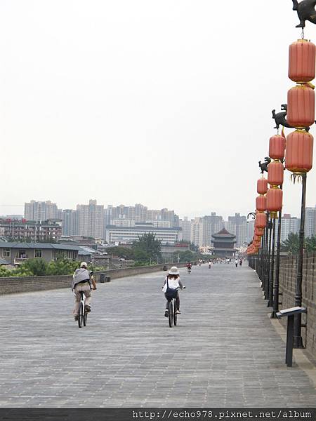 IMG_8277.JPG IMG_8277.JPG