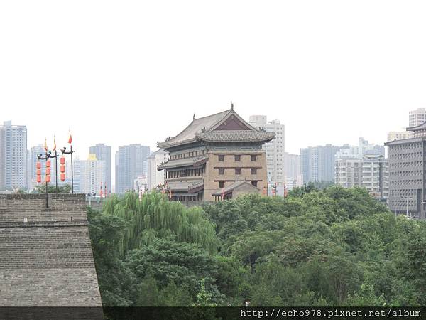 IMG_8283.JPG IMG_8283.JPG