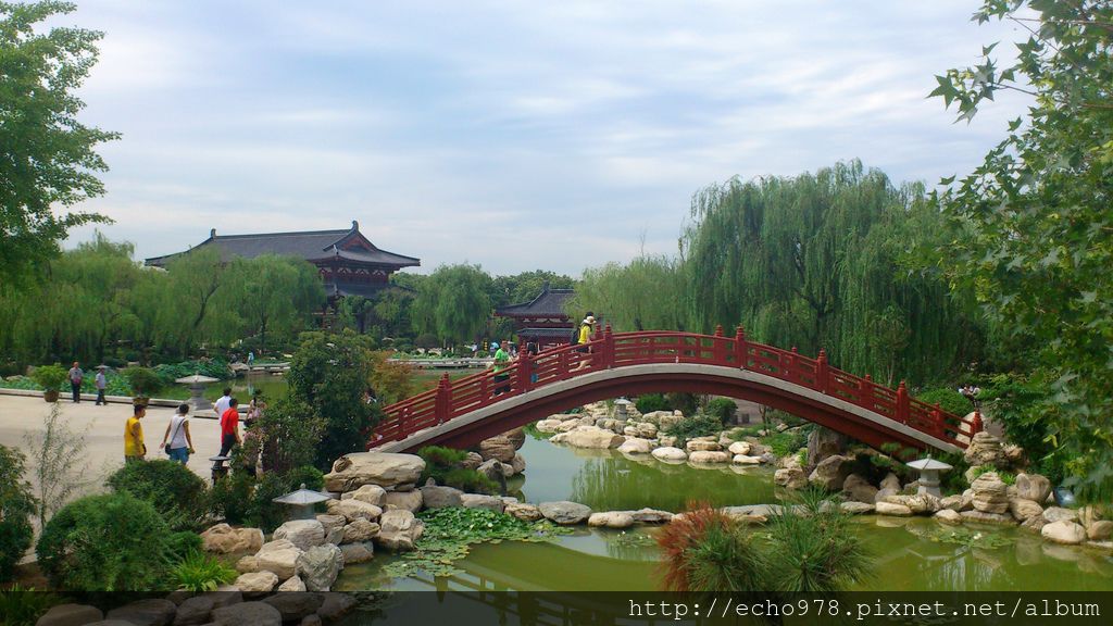 DSC_0129.jpg DSC_0129.jpg