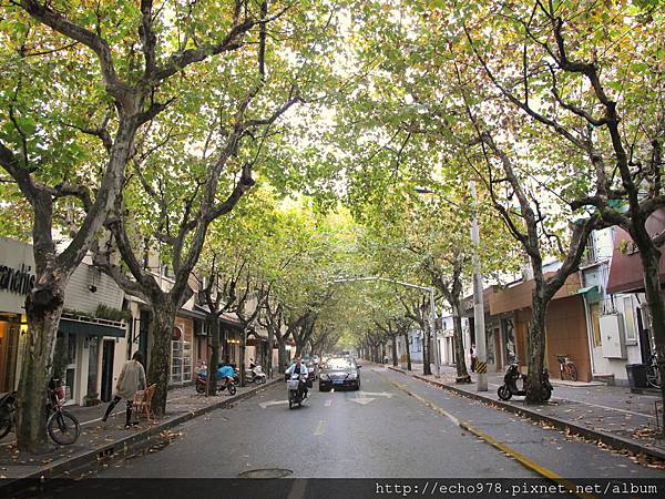 IMG_2032.JPG IMG_2032.JPG