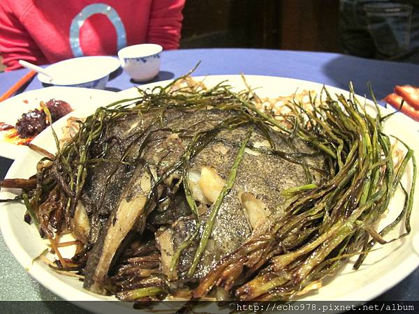 IMG_2056.JPG IMG_2056.JPG