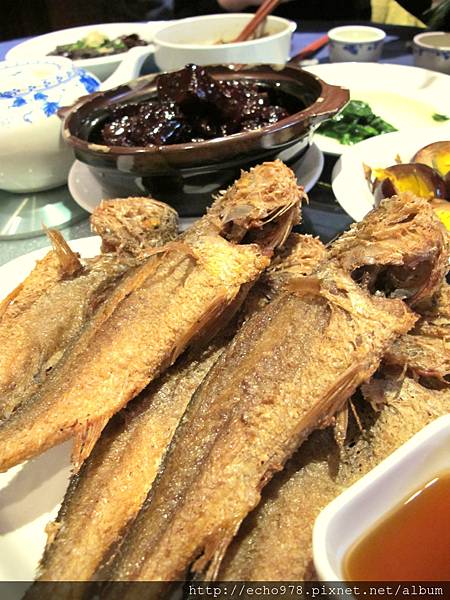 IMG_2070.JPG IMG_2070.JPG