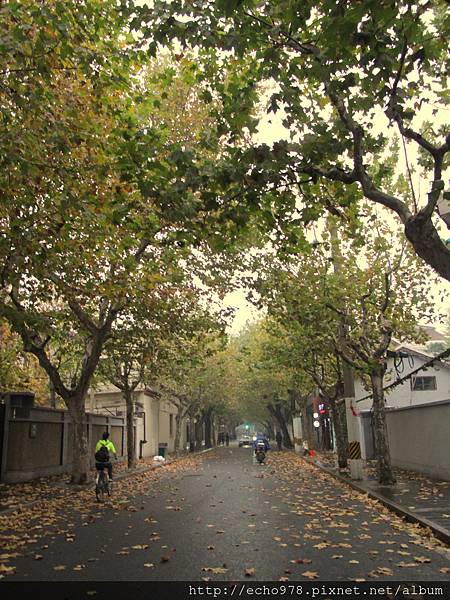 IMG_2084.JPG IMG_2084.JPG