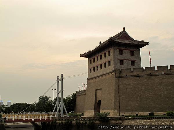 IMG_7946 IMG_7946