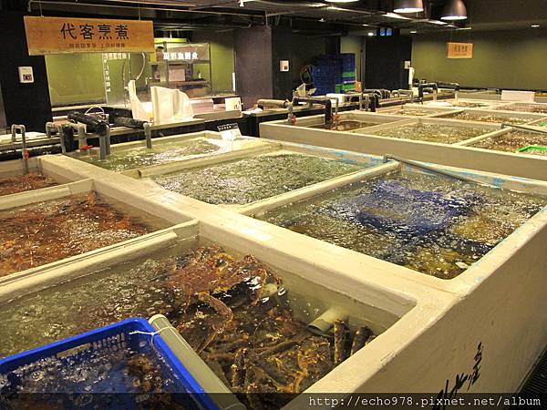 IMG_2837.JPG IMG_2837.JPG