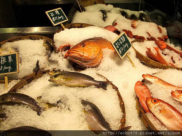 IMG_2872.JPG IMG_2872.JPG