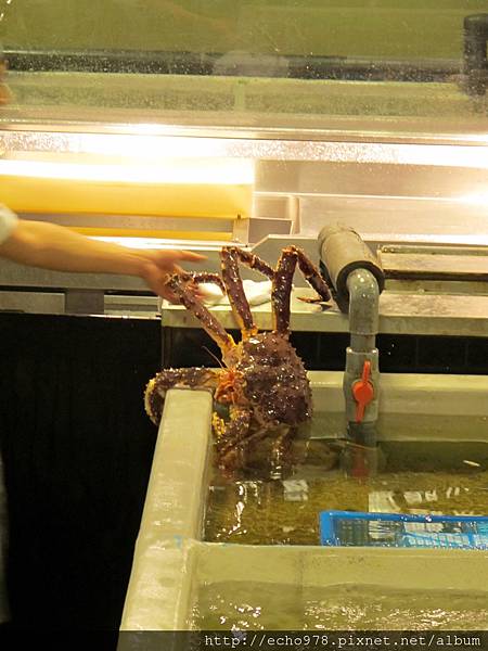 IMG_2878.JPG IMG_2878.JPG