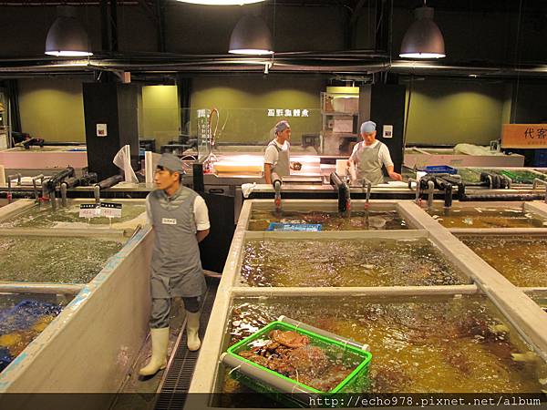 IMG_2879.JPG IMG_2879.JPG