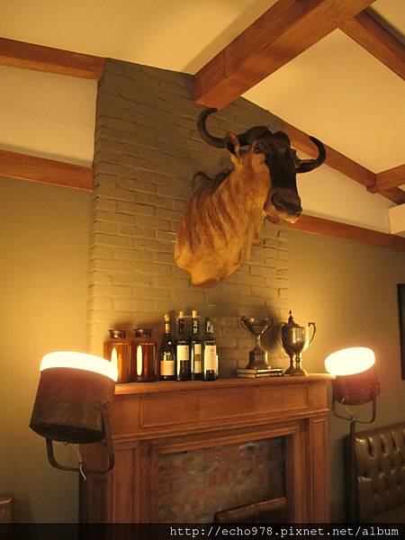 IMG_3310.JPG IMG_3310.JPG