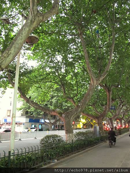 IMG_4780.JPG IMG_4780.JPG