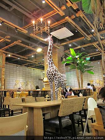 IMG_3702.JPG IMG_3702.JPG