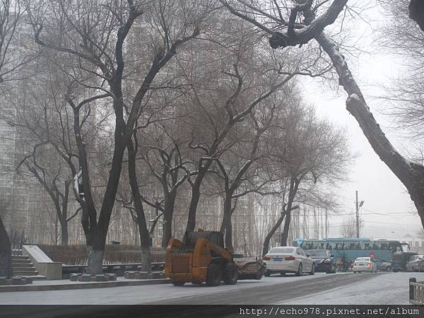 IMG_8446.JPG IMG_8446.JPG