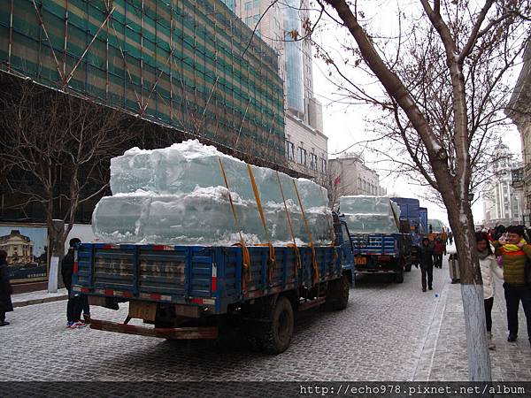 IMG_8500.JPG IMG_8500.JPG