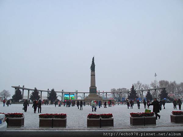 IMG_8501.JPG IMG_8501.JPG