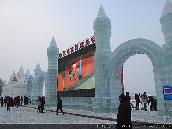 IMG_8502.JPG IMG_8502.JPG