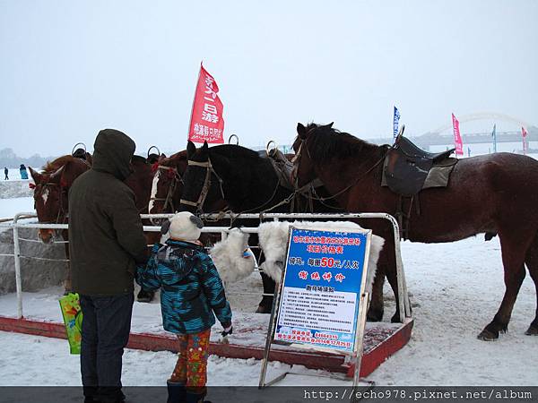 IMG_8510.JPG IMG_8510.JPG