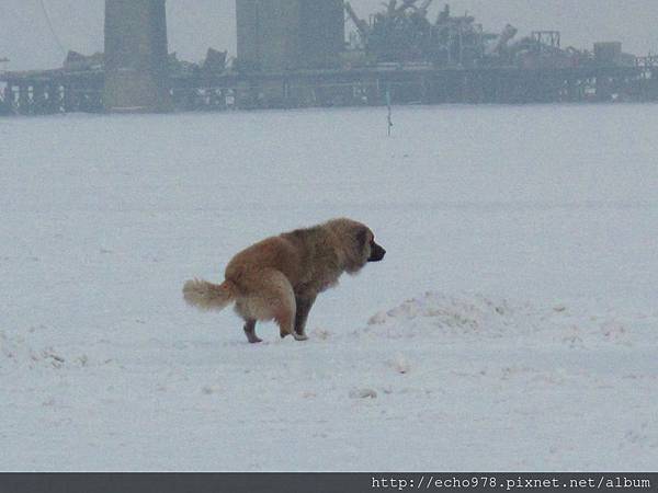 IMG_8512.JPG IMG_8512.JPG