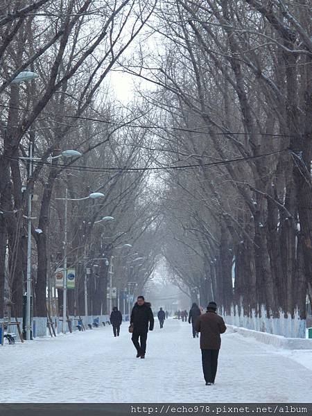 IMG_8525.JPG IMG_8525.JPG