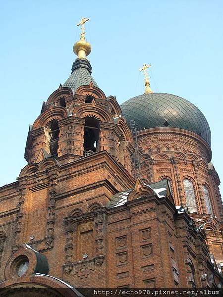 IMG_8371.JPG IMG_8371.JPG