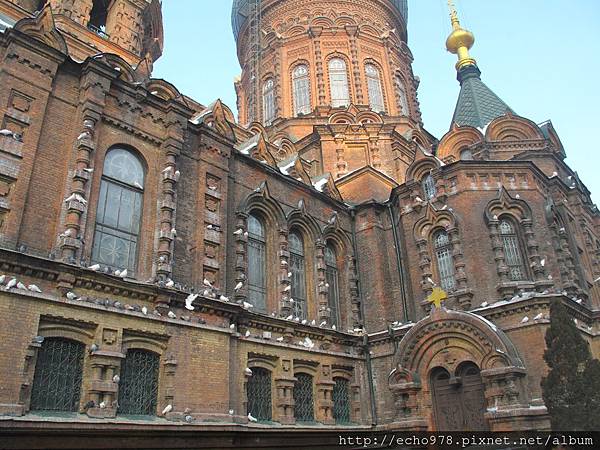 IMG_8381.JPG IMG_8381.JPG