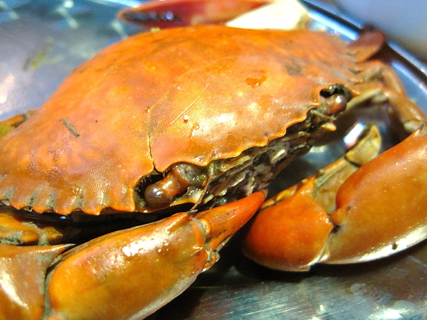 IMG_0797.JPG IMG_0797.JPG