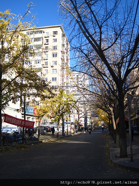 IMG_8833.JPG IMG_8833.JPG