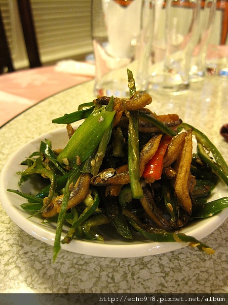 IMG_3844.JPG IMG_3844.JPG