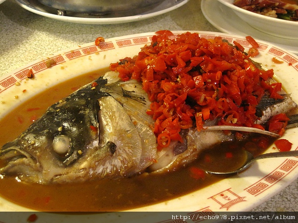 IMG_3881.JPG IMG_3881.JPG