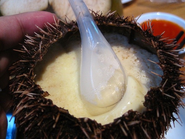 IMG_0788.JPG IMG_0788.JPG