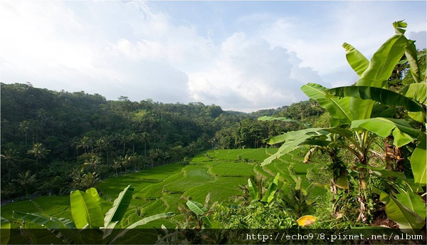 圖片15.jpg 圖片15.jpg