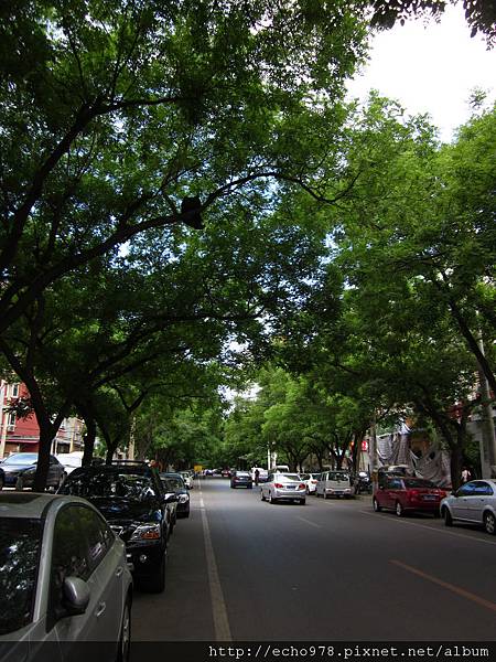 IMG_1161.JPG IMG_1161.JPG