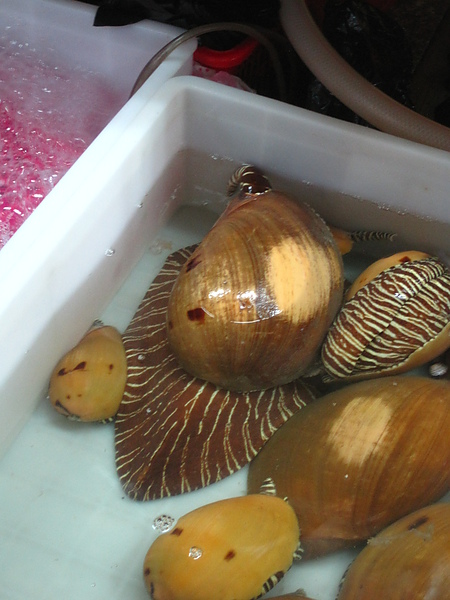 IMG_0762.JPG IMG_0762.JPG