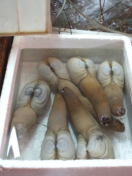 IMG_0869.JPG IMG_0869.JPG