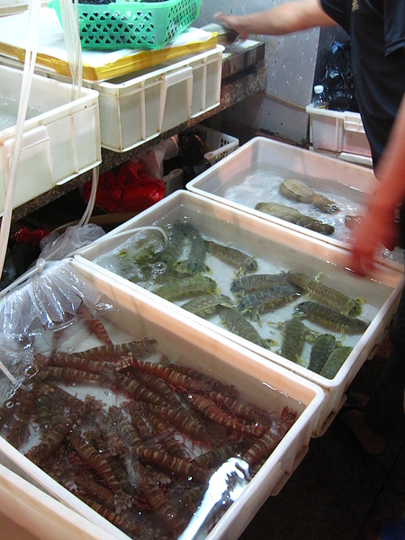 IMG_0758.JPG IMG_0758.JPG