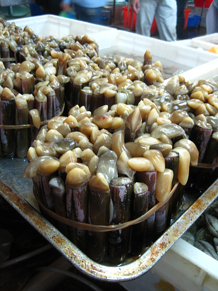 IMG_0761.JPG IMG_0761.JPG