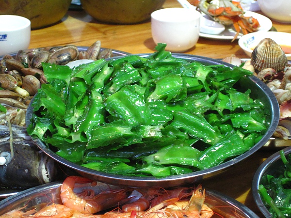 IMG_0804.JPG IMG_0804.JPG