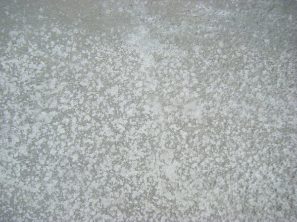 091231-二樓頂板養護1-05 091231-二樓頂板養護1-05