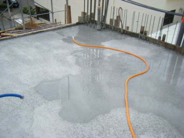 091231-二樓頂板養護1-06 091231-二樓頂板養護1-06