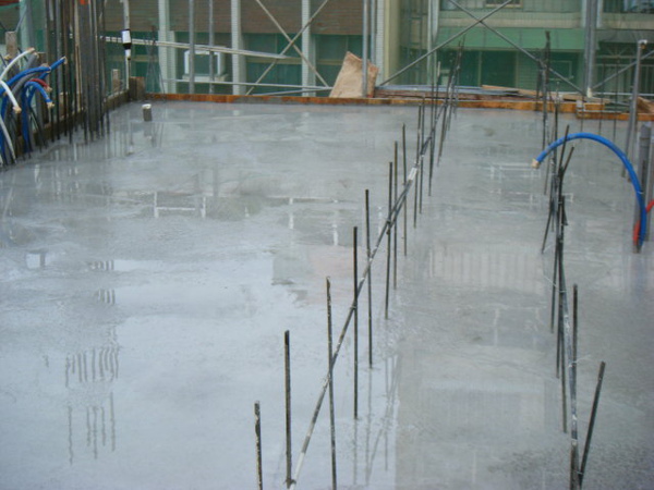 091231-二樓頂板養護1-09 091231-二樓頂板養護1-09