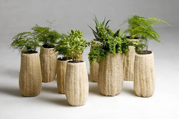 Fernando-Laposee-Biodegradable-Objects-From-Lufa-Fruit-14