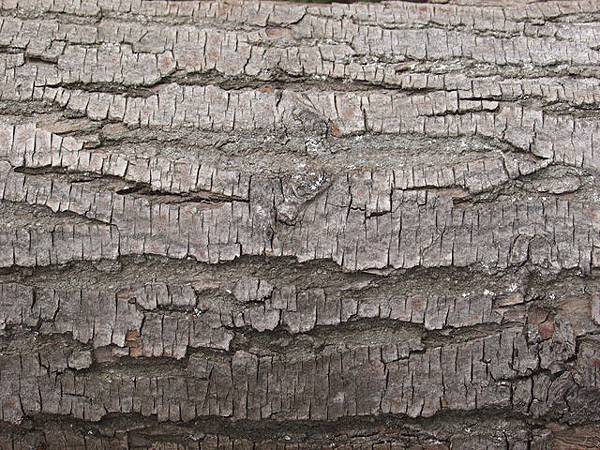 tumblr_lmqvynsDAO1qdwqexo9_r1_1280