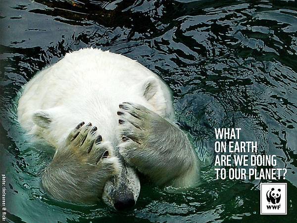 WWF-Denmark-Polar-Bear