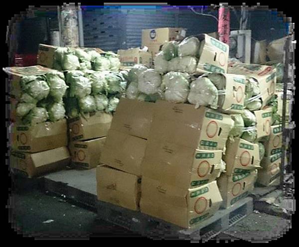 �B�e���R�檺�Ƚc�`�]���������z�}