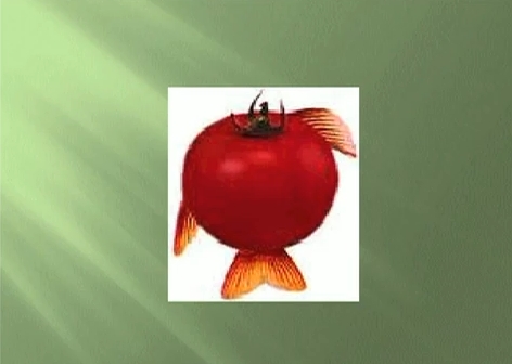 MWSnap 2010-09-28, 09_19_23.jpg MWSnap 2010-09-28, 09_19_23.jpg