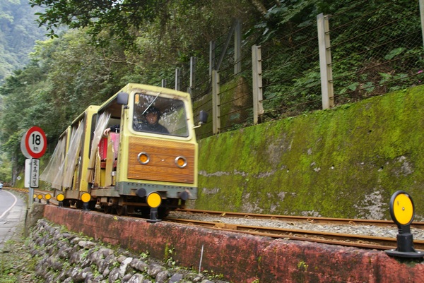 烏來台車-賴儀宣攝.JPG