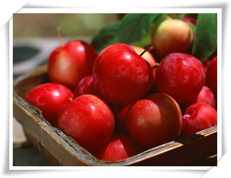 124319284_7931n_副本