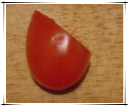 021227zcf6wuddn0gwndhz_副本