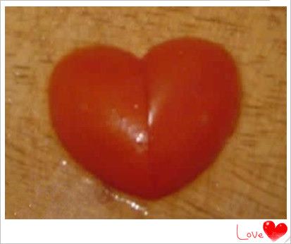 021228em8vnf6gel9n1ged_副本